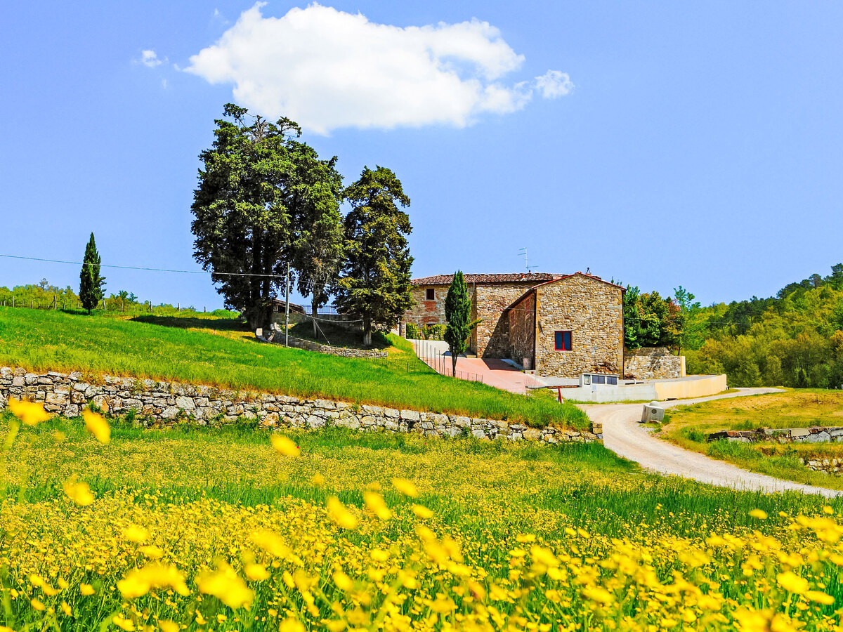 Selvapiana – Gîte 6 pers. Greve in Chianti - Photo 1