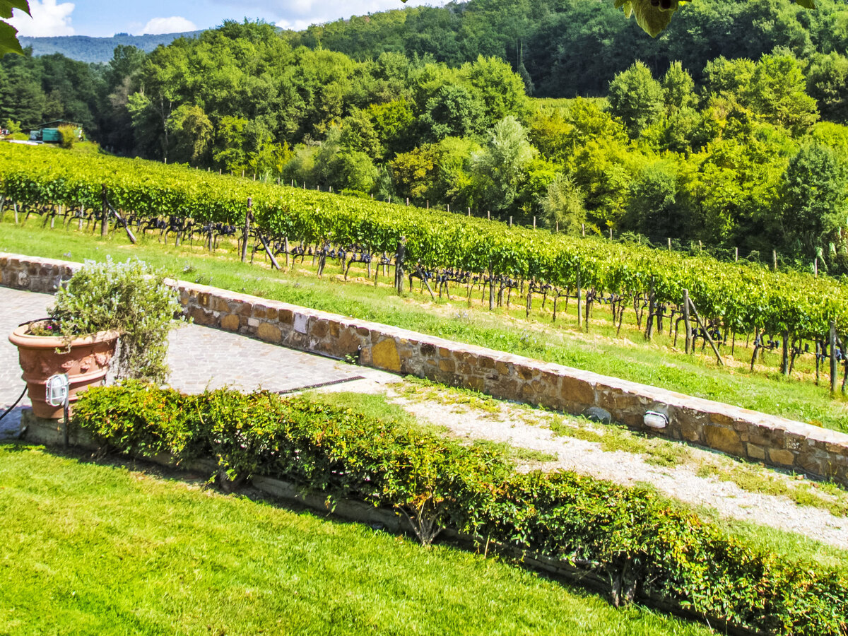 Selvapiana – Gîte 6 pers. Greve in Chianti - Photo 27