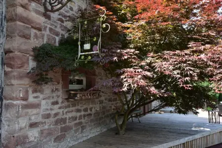 Maison de vacances - Niderviller Loft, Escapade bien-être et aventure - Photo 30