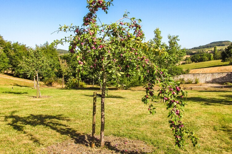 Maison Lamothe - Gîte 6 pers. dans le parc du château - Photo 22