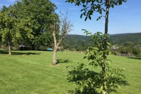 Villa Francine – 8 chambres pour 14 personnes aux Ardennes : photo 30