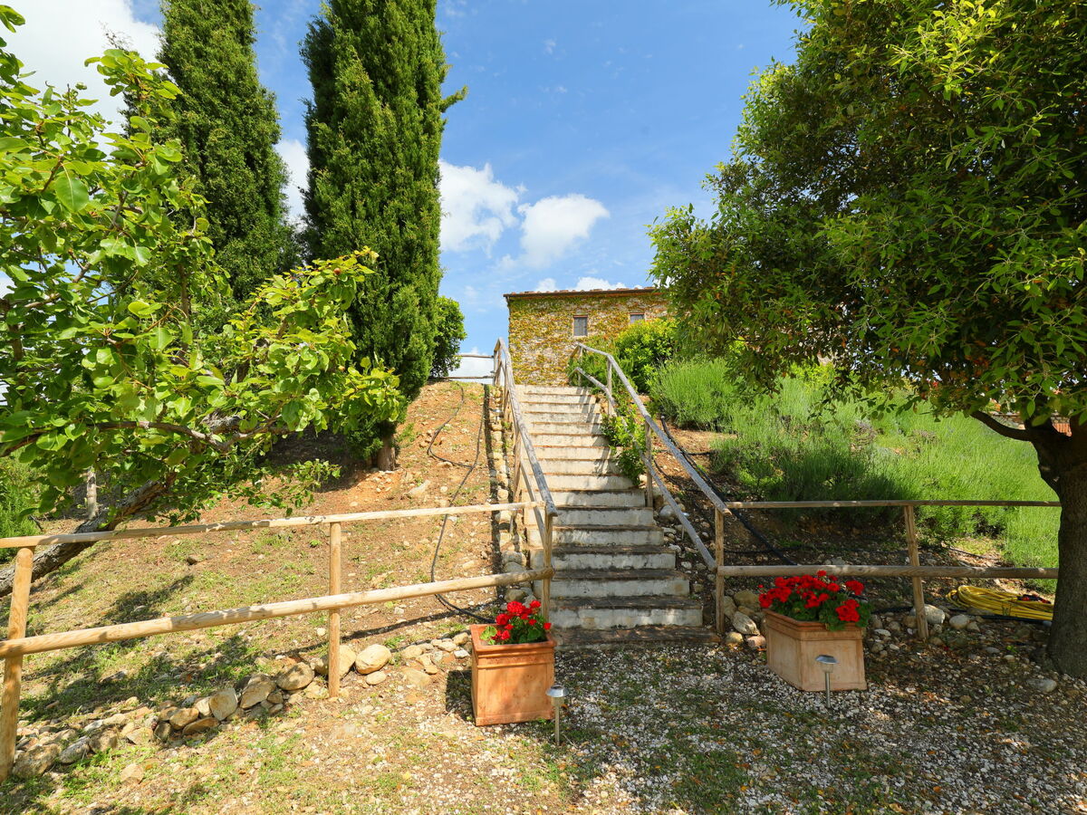Casa Grande – Gîte 12 pers. en Maremma toscane - Photo 32
