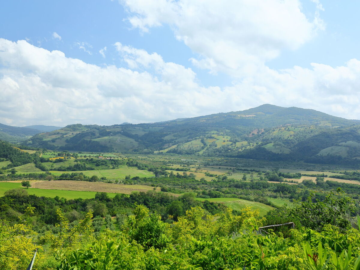Casa Grande – Gîte 12 pers. en Maremma toscane - Photo 36
