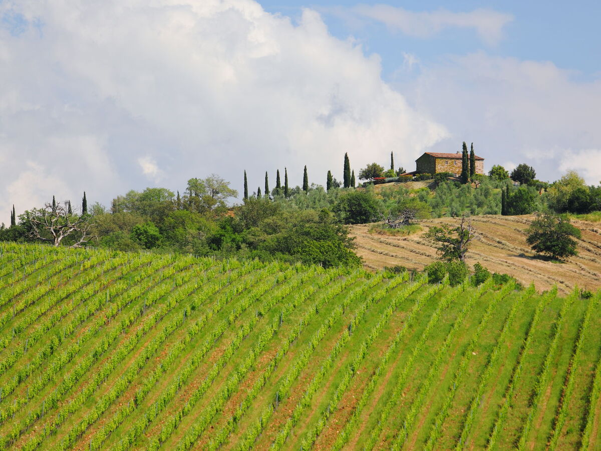 Casa Grande – Gîte 12 pers. en Maremma toscane - Photo 40