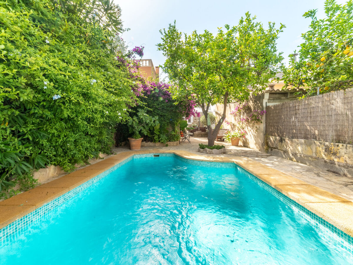 Sa Teulera – Maison rustique 6 pers., piscine à Campanet - Photo 27