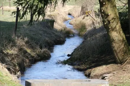 Le Moulin d'Halconreux, gîte 15 personnes : photo 35