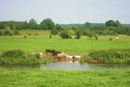 Le Moulin d'Halconreux, gîte 15 personnes : photo 37