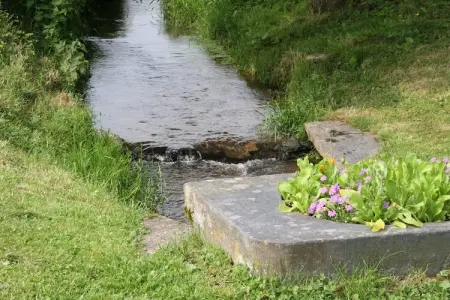 Le Moulin d'Halconreux, gîte 15 personnes : photo 39