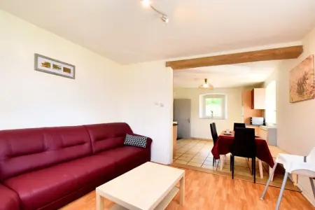 De Massetop – Maison 6 pers. face à la forêt ardennaise : photo 9