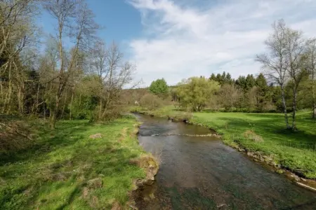 De Massetop – Maison 6 pers. face à la forêt ardennaise : photo 34