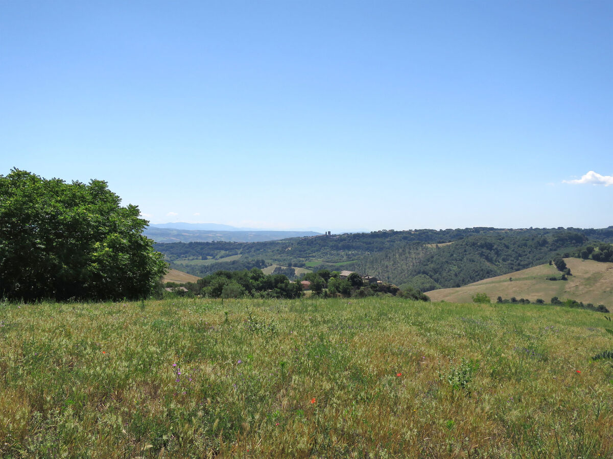 Gîte Poggiolo – ferme rustique avec vue panoramique - Photo 20