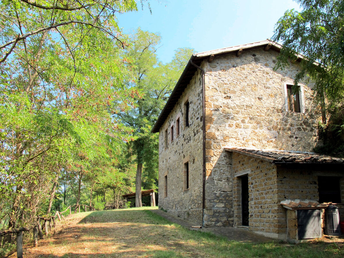 Gîte Topano – forêt et piscine près de Civita di Bagnoregio - Photo 1