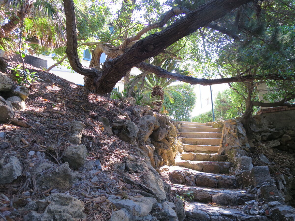 Villa Tamerici : 9 pers., accès direct plage à Quercianella - Photo 40