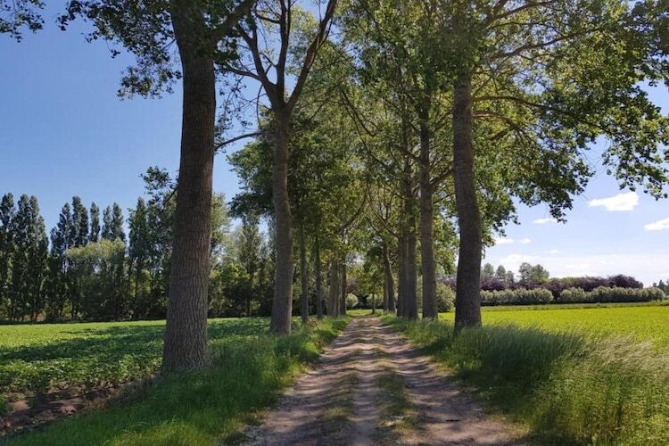 Maison Casteeldoorn, 6 personnes à Oostkamp - Photo 21