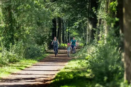 Maison Casteeldoorn, 6 personnes à Oostkamp : photo 19