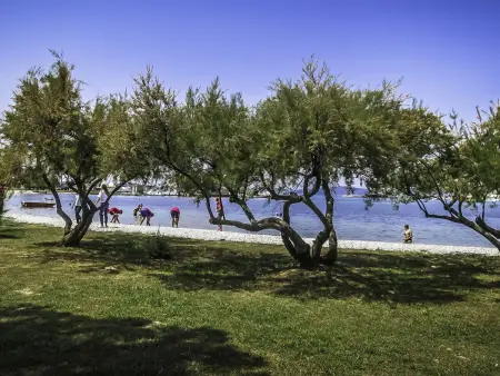 Mate Ceko, Maison 4 personnes à Zadar Sukošan - Photo 31