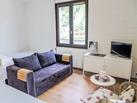 Studio 21 m² vue montagne à Chamonix : photo 4