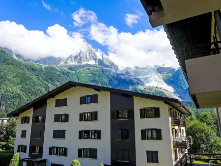 Studio 21 m² vue montagne à Chamonix : photo 11