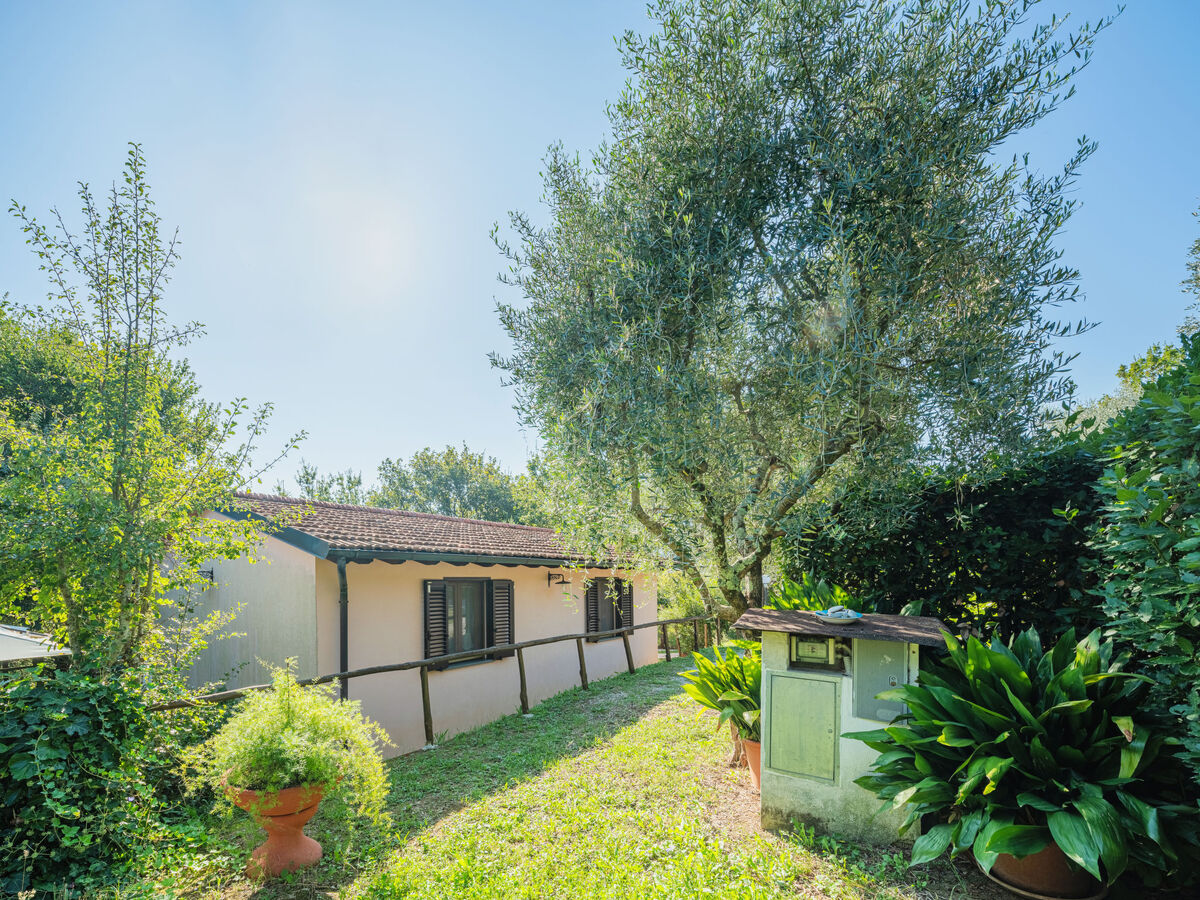 Villetta Cerchia, maison rustique 1 chambre à Lucca - Photo 23