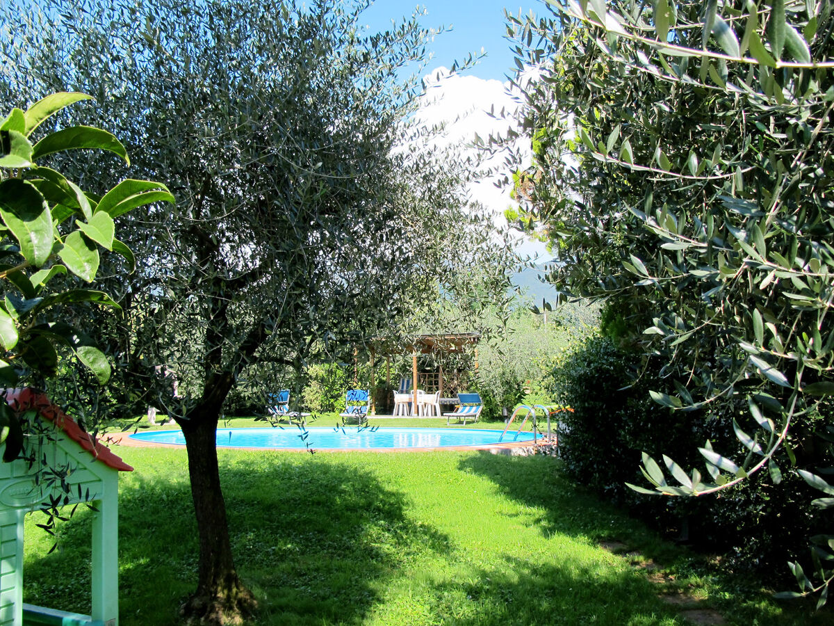 Maison Agrifoglio à Lucca avec piscine et jardin - Photo 15