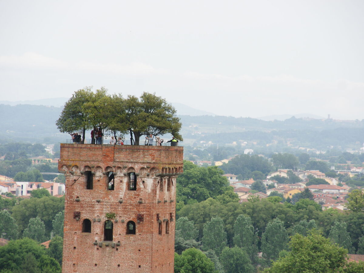 Maison Agrifoglio à Lucca avec piscine et jardin - Photo 19