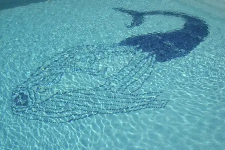 Mimosa, Villa de luxe à Tanneron avec piscine privée - Photo 9