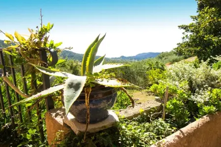 Mimosa, Villa de luxe à Tanneron avec piscine privée - Photo 28