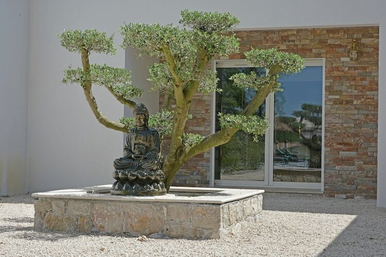 Villa Contempo 4 – Montauroux, piscine et forêt - Photo 6