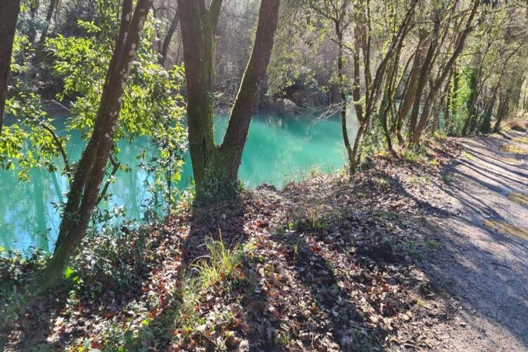 Villa Contempo 4 – Montauroux, piscine et forêt - Photo 40