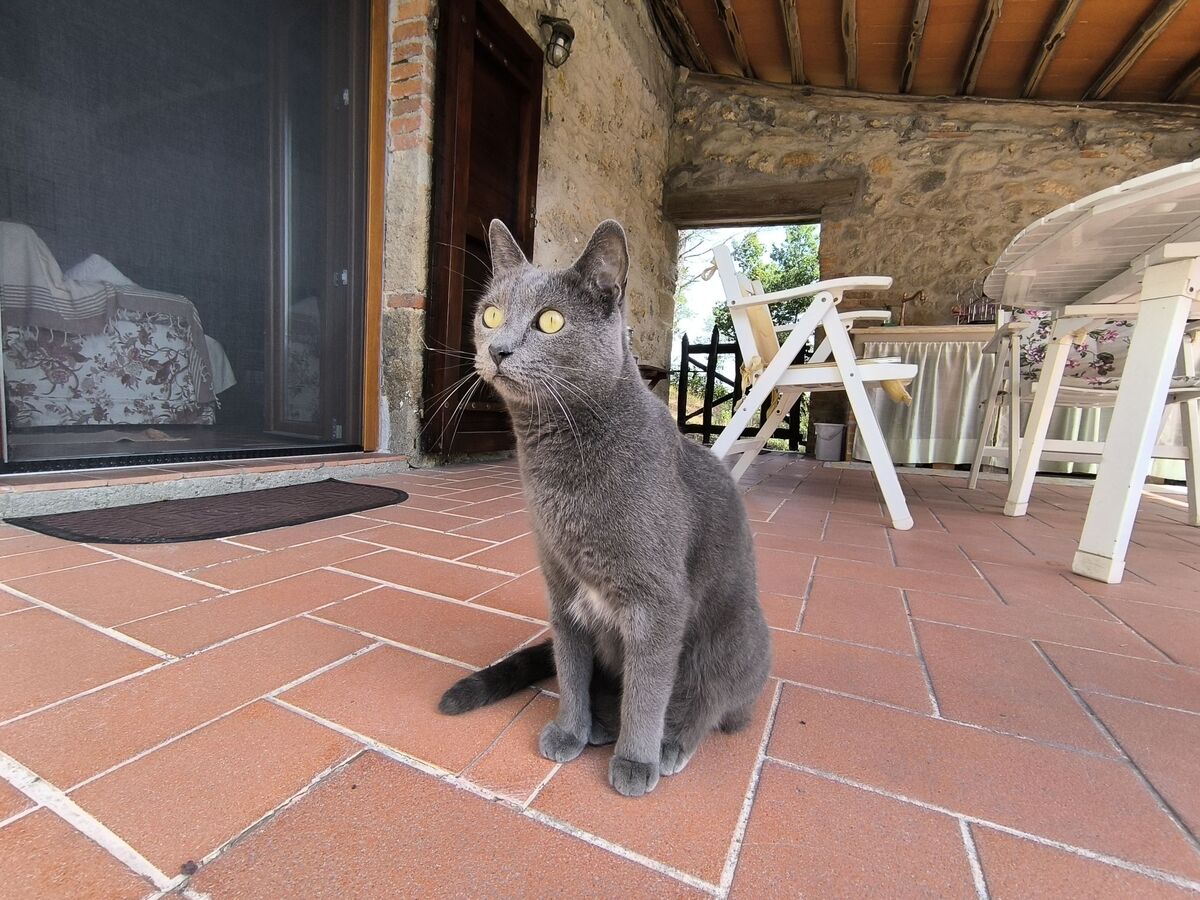 Il Grillo Parlante – Maison rustique 6 pers. à Prata - Photo 45