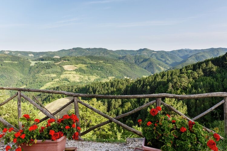 Villa La Collinaccia : 18 pers., piscine privée à Tredozio - Photo 35