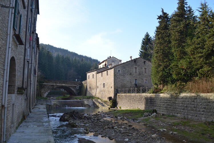 Villa La Collinaccia : 18 pers., piscine privée à Tredozio - Photo 36