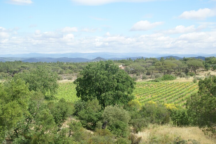 Villa 4 pers. avec piscine privée à Vidauban - Photo 32