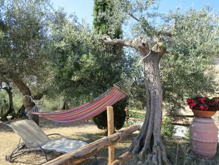 La Collina Fiorita, Gite 20 personnes à Lago Trasimeno - Photo 2