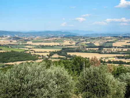 La Collina Fiorita, Gite 20 personnes à Lago Trasimeno - Photo 52
