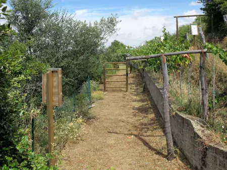 Paradiso Selvaggio, Gite 4 personnes à Lago Trasimeno - Photo 22
