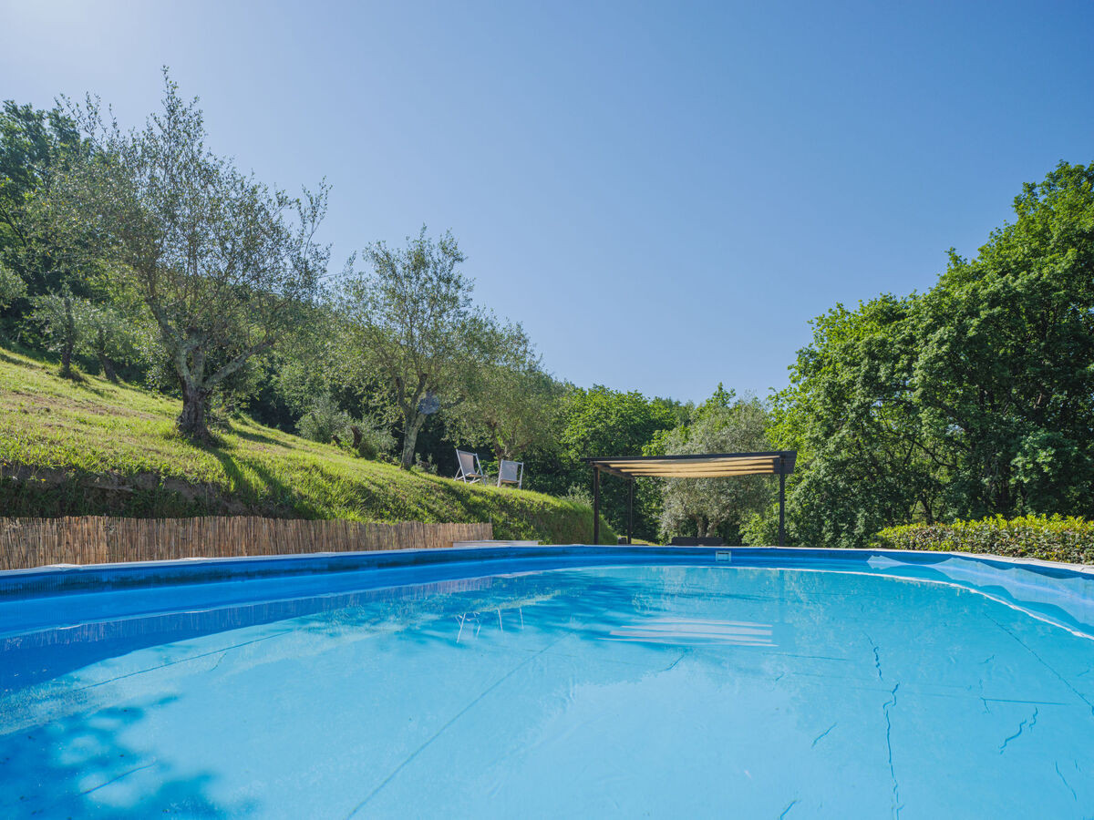 Buratto - Gîte 9 pers. avec piscine près de Lucca - Photo 3