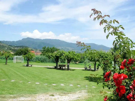 Gîte Le Fornaci à Lucca, 6 pers. avec piscine : photo 37