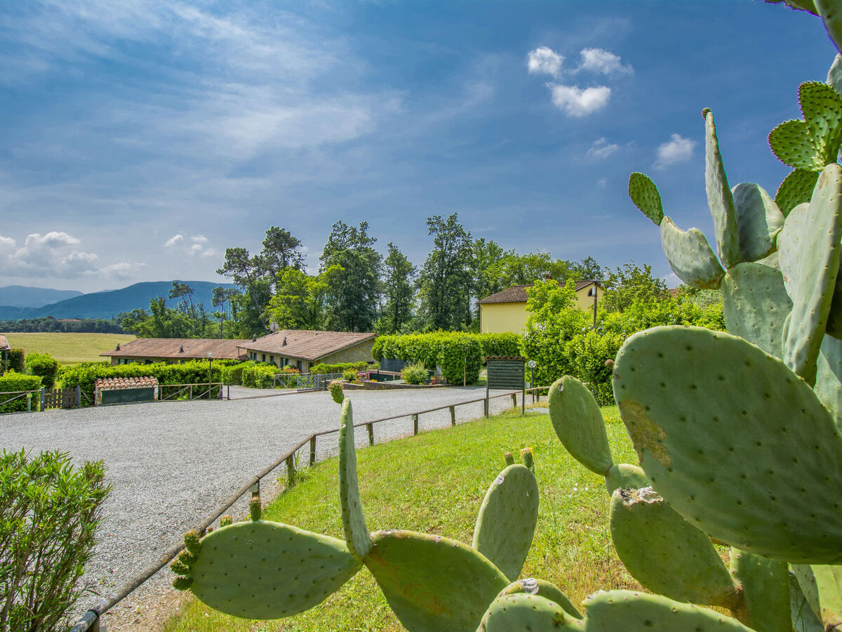 Maison I Pini - Lucca, vue panoramique montagne - Photo 1