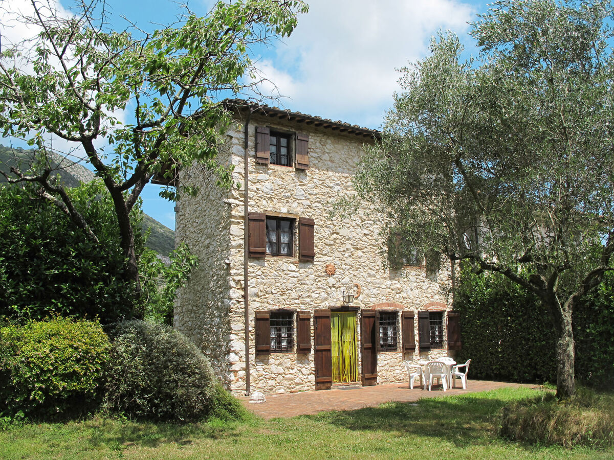 Girasole, gîte rustique 8 pers. à Lucca - Photo 21