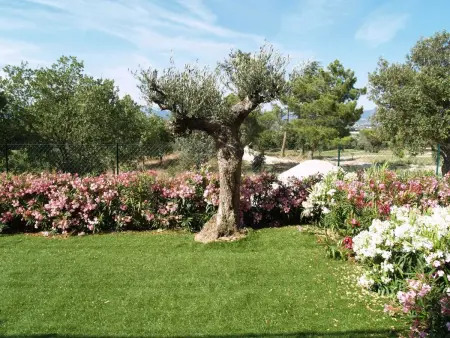 Green Bastide M46P, Maison 6 personnes à Roquebrune sur Argens - Photo 11