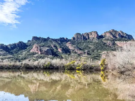 Green Bastide M46P, Maison 6 personnes à Roquebrune sur Argens - Photo 19
