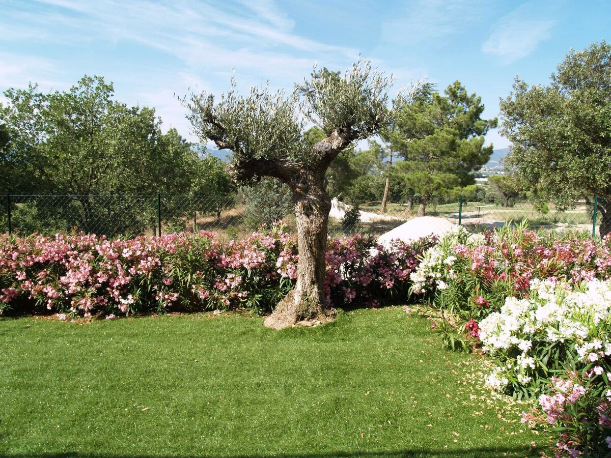 Green Bastide M46G - Maison 6 pers. près golf - Photo 14