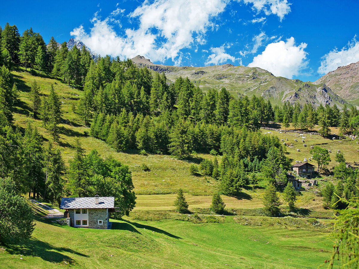 Casot Pra La Funt, chalet montagne 9 pers. - Photo 24