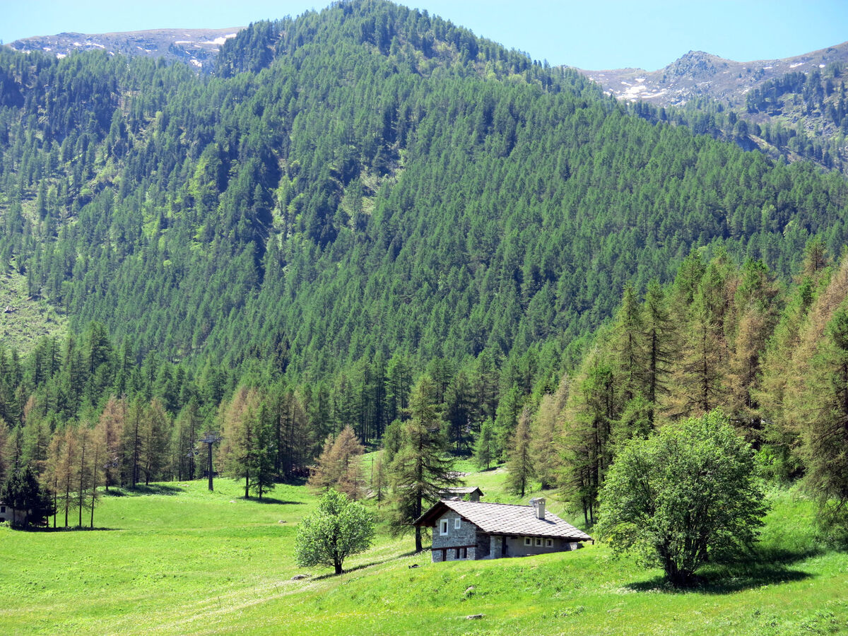 Casot Pra La Funt, chalet montagne 9 pers. - Photo 26