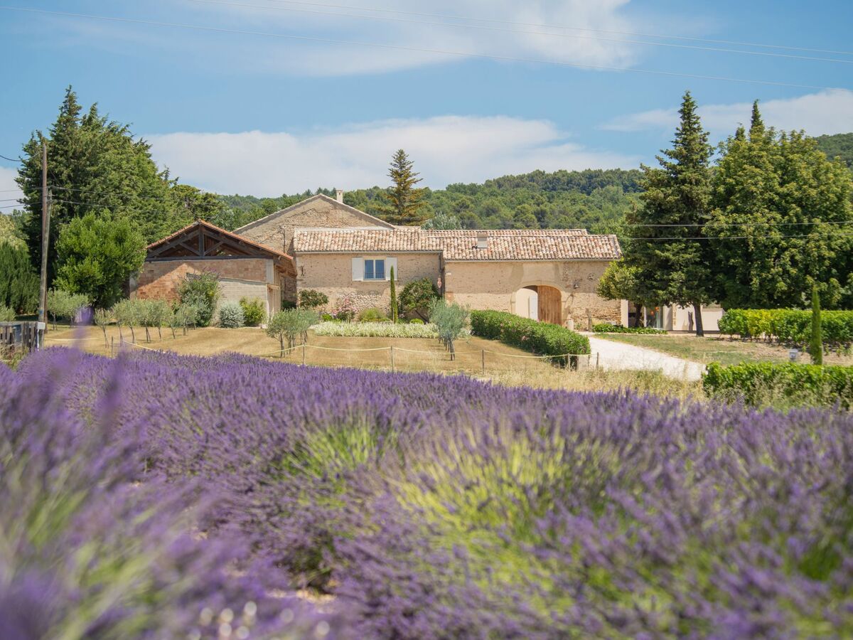 La Machotte - Mas 15 pers, piscine, 10 000 m² - Photo 1