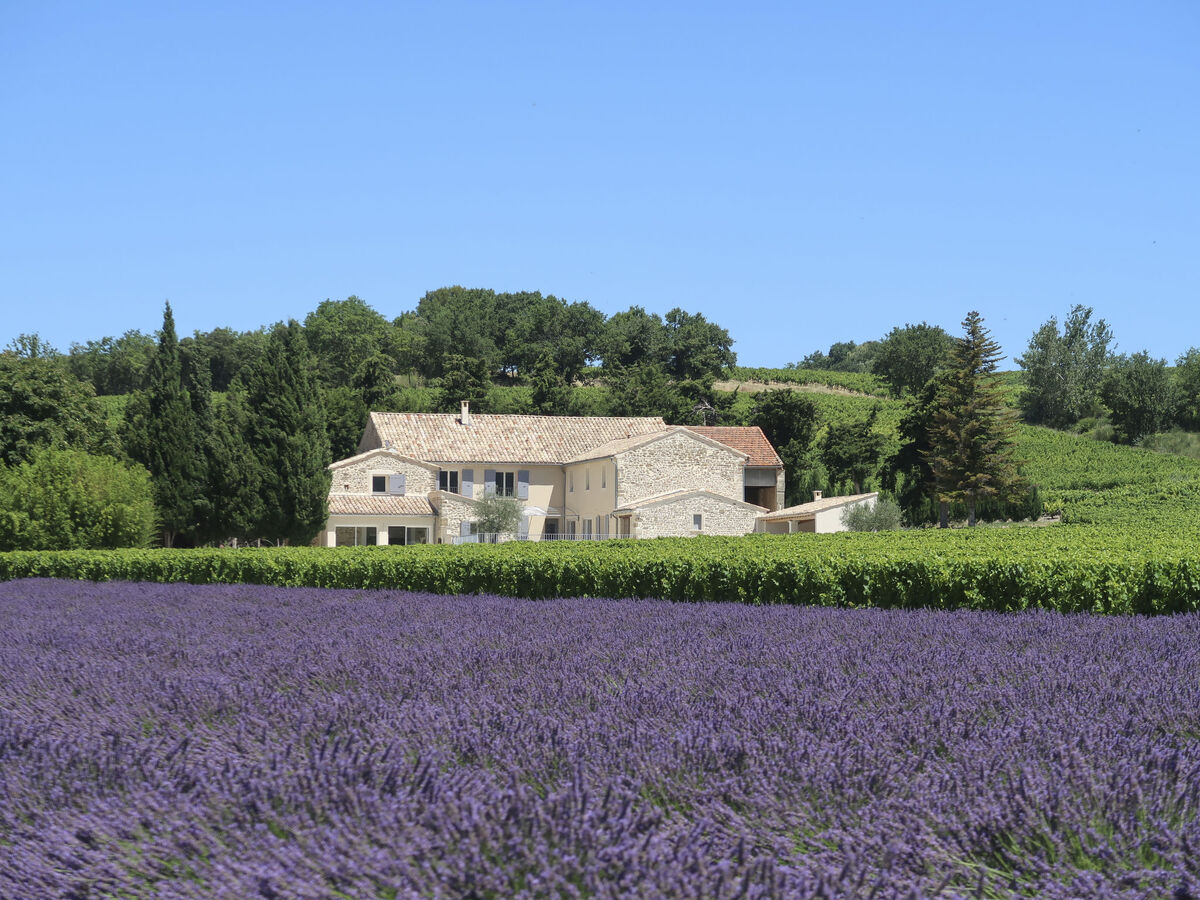 La Machotte - Mas 15 pers, piscine, 10 000 m² - Photo 46