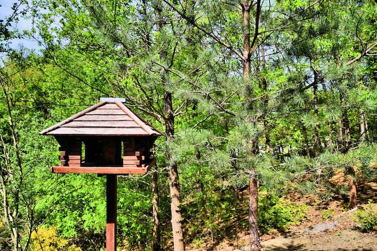 L'Orchidée – Maison 8 pers. avec sauna à Barvaux - Photo 33