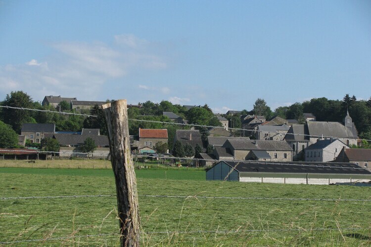 Casa Borlon, maison ardennaise 6 personnes à Borlon - Photo 33