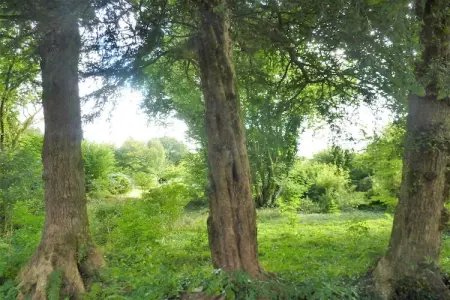 Maison bretonne du 17e siècle à Huelgoat : photo 28